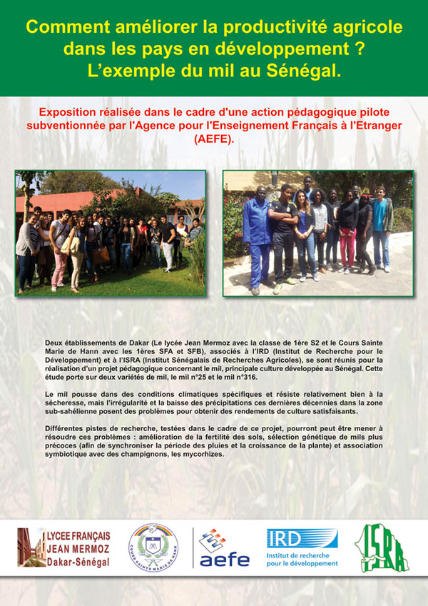 Panneau d'exposition crée par des élèves du lycée Mermoz dans le cadre d'une APP sur les biotechnologies en agriculture
