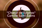 L'Orchestre des lycées français du monde fête la musique en interprétant le Chœur des Sylphes de Camille Saint-Saëns