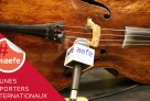 Revivez le premier concert de l'année 2020 de l'Orchestre des lycées français du monde, enregistré en direct au Lycée français de Vienne
