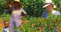 Claudia Castellanos en Eswatini devant un plant de piment et en compagnie d'une agricultrice et de son enfant