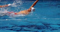 Championnat de natation Asie-Pacifique 2016 : nageur