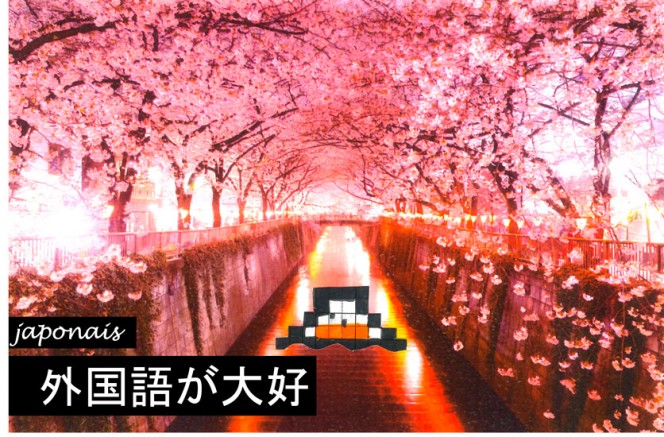 &quot;J&#039;aime les langues&quot; en japonais et cerisiers en fleurs