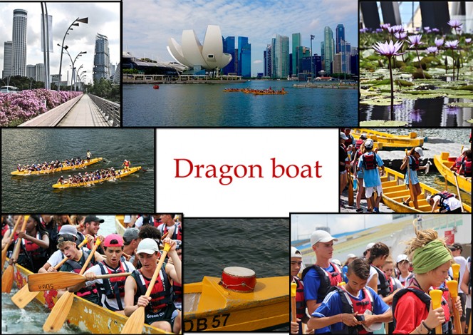 JIJ 2016 à Singapour : affiche Dragon boat